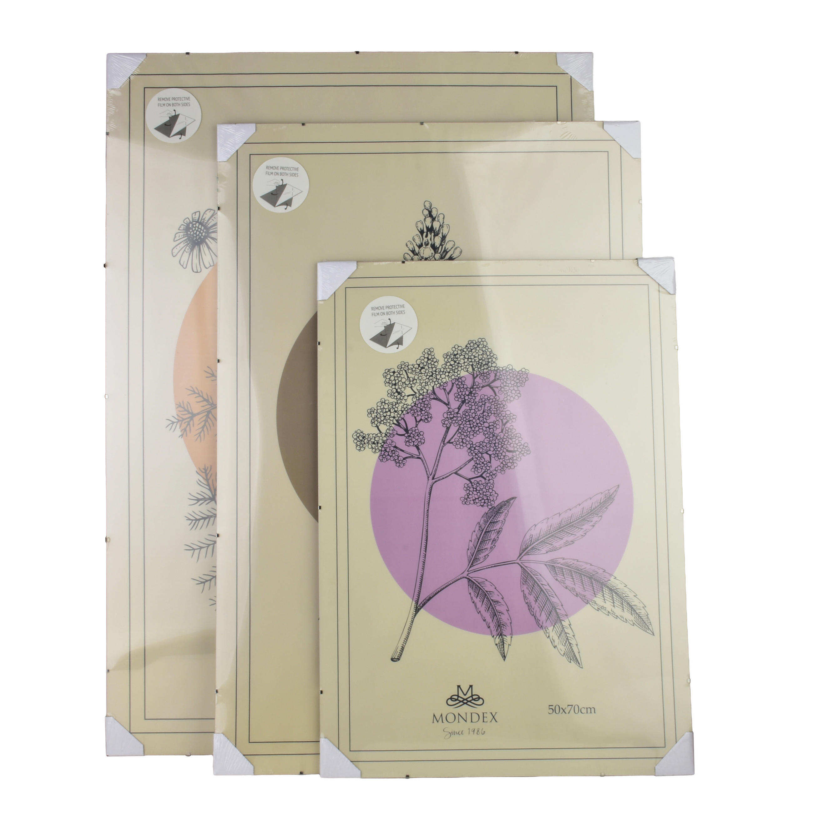 BILDERRAHMEN Adi Transparent 70x100x0.3 cm Kunststoff - Transparent, Kunststoff (0.3/100/70cm) - Mondex