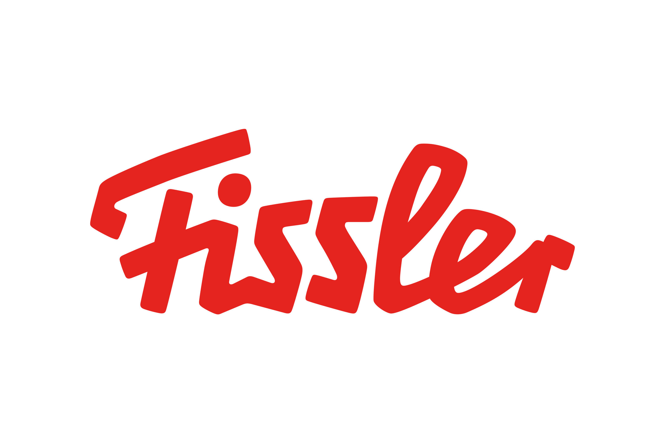 Fissler