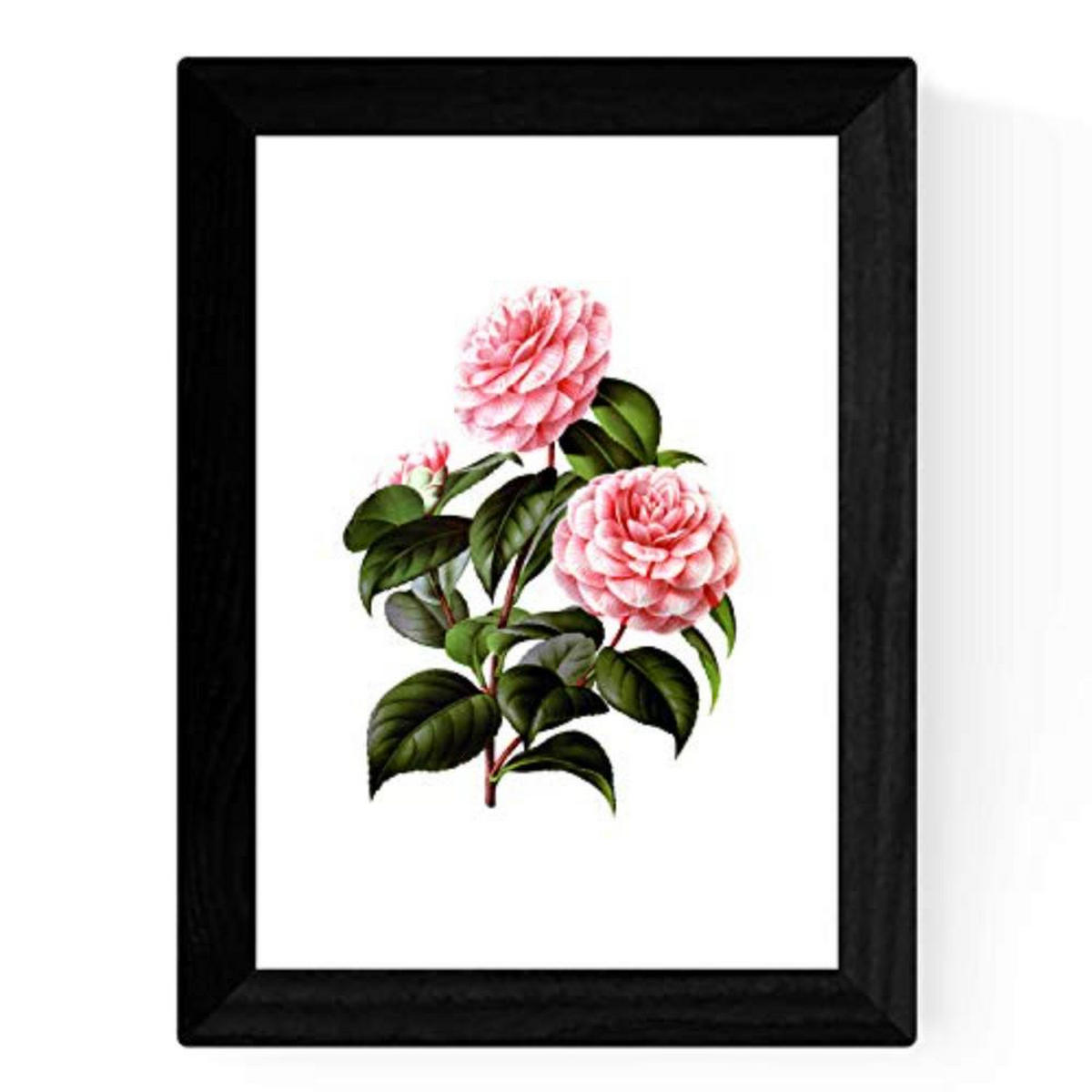 POSTER Set mit 4 Botanische Weiß Hintergrund Rosa Blumen A3 Rahmenlos - Klar, Papier (29.7/3cm) - Nacnic