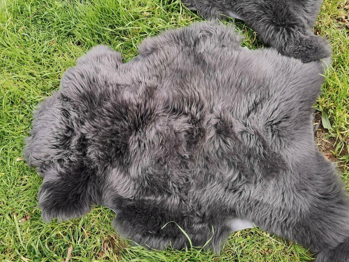 SCHAFFELL Lammfell Dunkelgrau, ca. 130 cm - Dunkelgrau/Grau, Fell (80/130cm) - Provellus