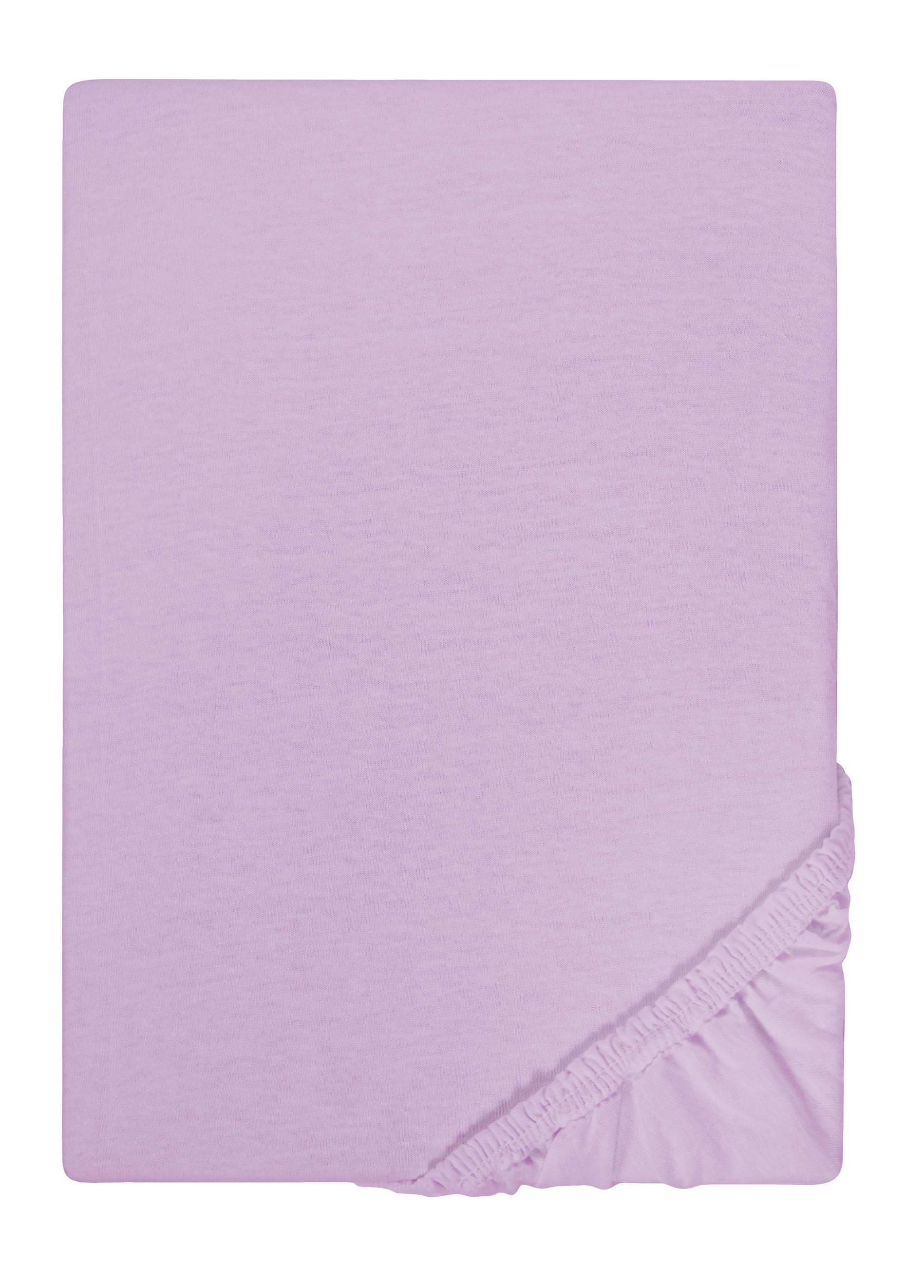 biberna Spannbetttuch Violett 100x200 cm