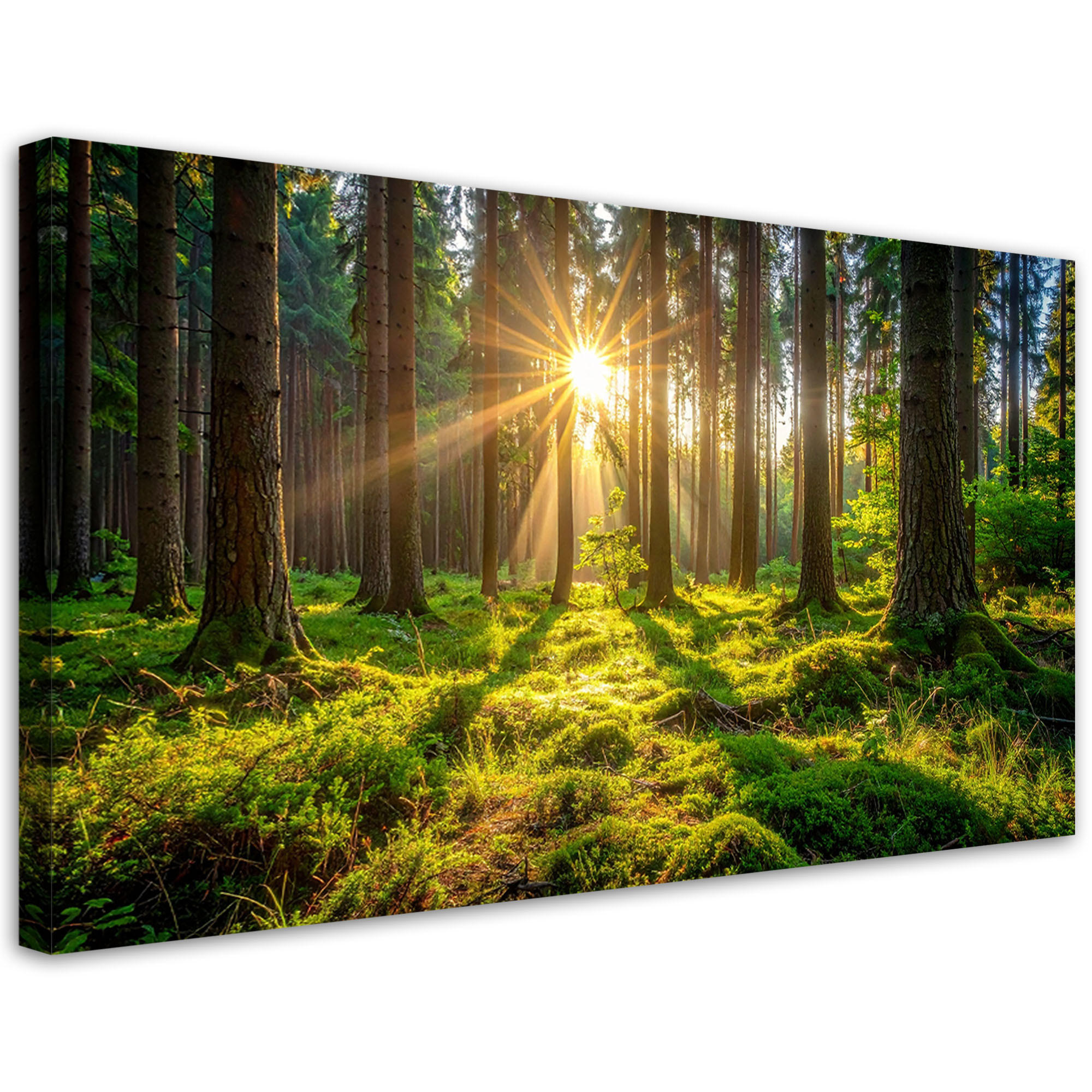 Feeby Leinwandbild Grün 120x60 cm