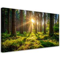 LEINWANDBILD Landschaften 80x40cm - Grün, Textil (80/40cm) - Feeby