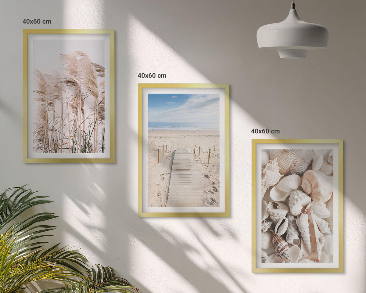 BILDER SET 3er Set - 40x60 cm Goldrahmen - Strandmuscheln Seegras - Goldfarben, Kunststoff (40/60cm) - TULUP