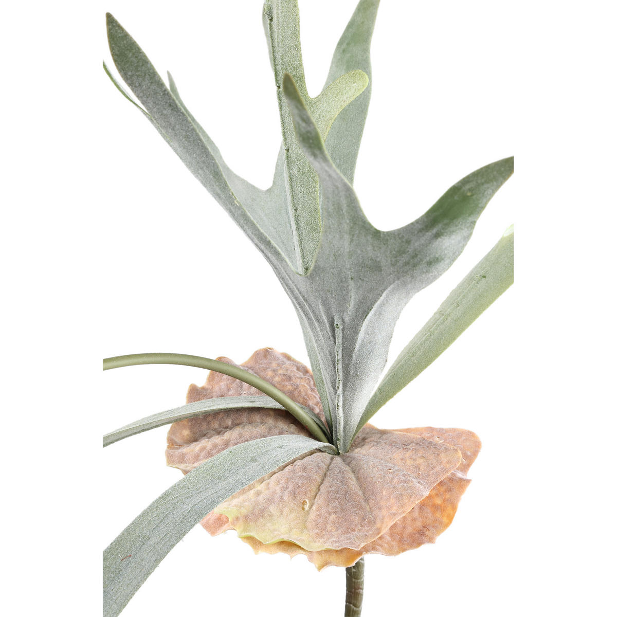 KUNSTBLATT Leaves Grün 82/30/93cm - Grün, Kunststoff (30/93/82cm) - PTMD Collection