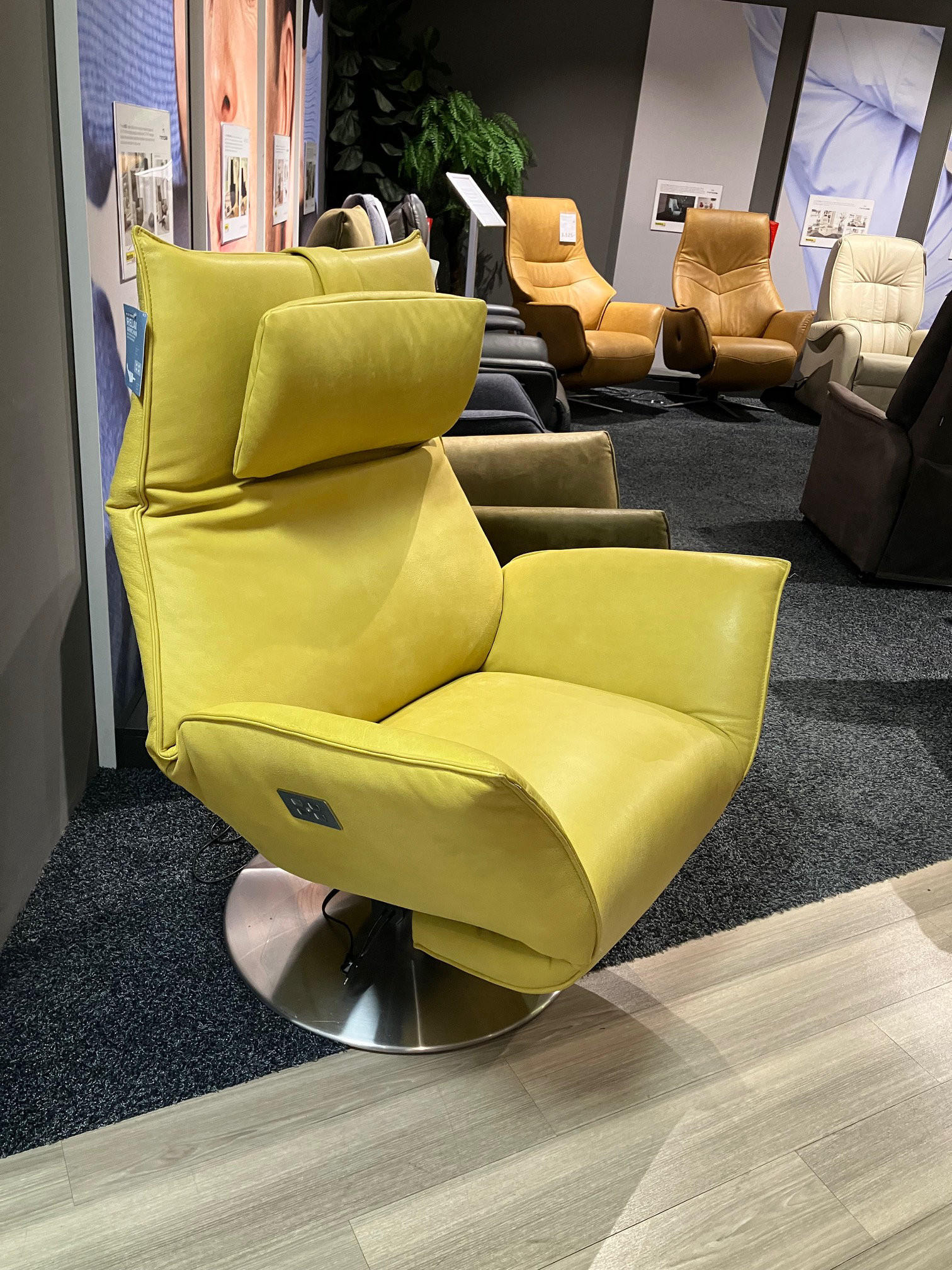 POČIVALNIK SAFIRA - Dieter Knoll