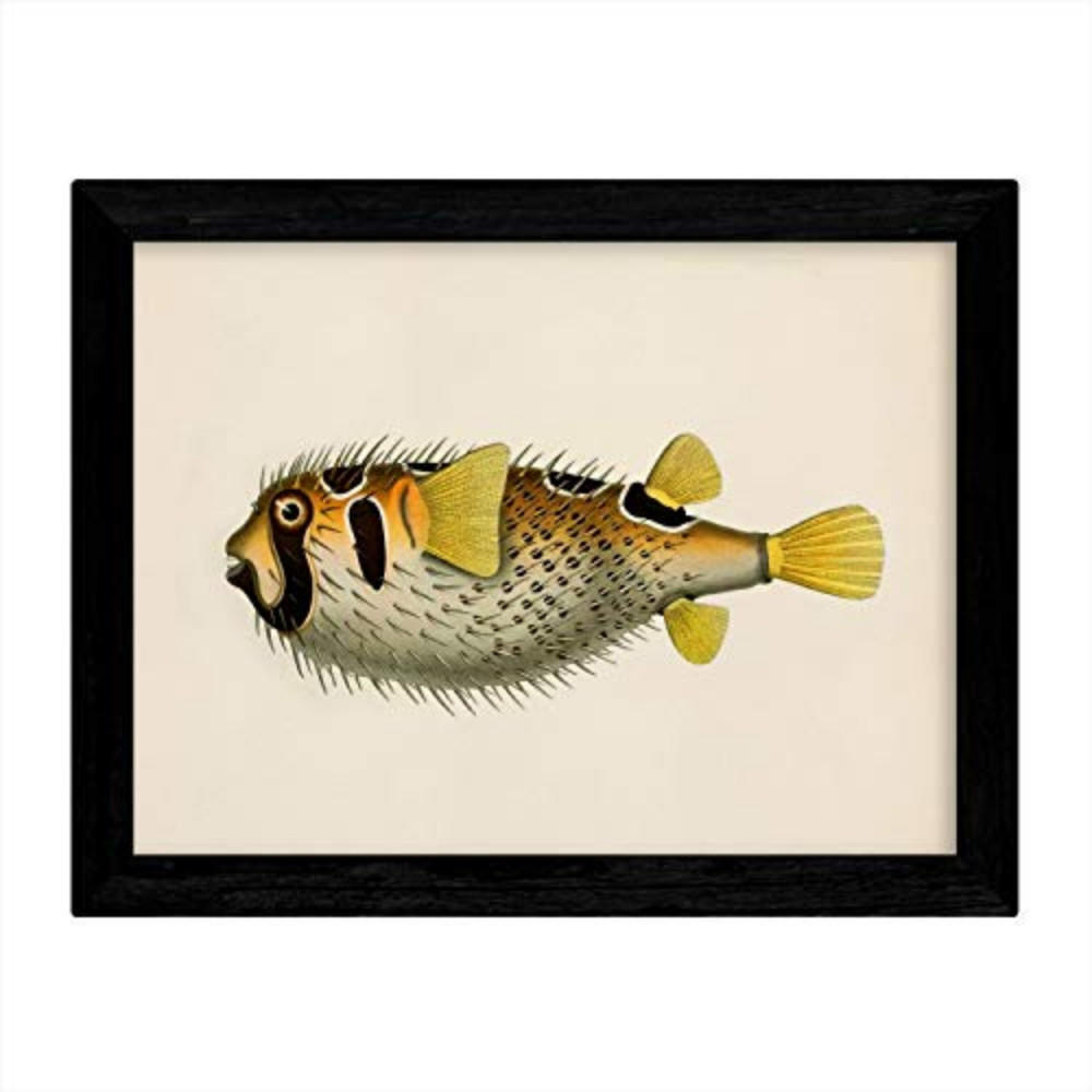 Nacnic Poster Klar 29.7x5x42 cm
