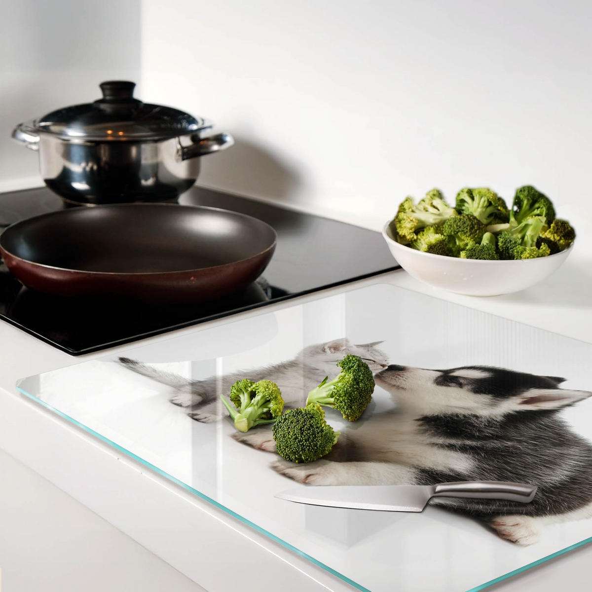GLASPLATTE 60x52 cm Hund und Katze - Braun/Grün, Glas (60/52cm) - TULUP