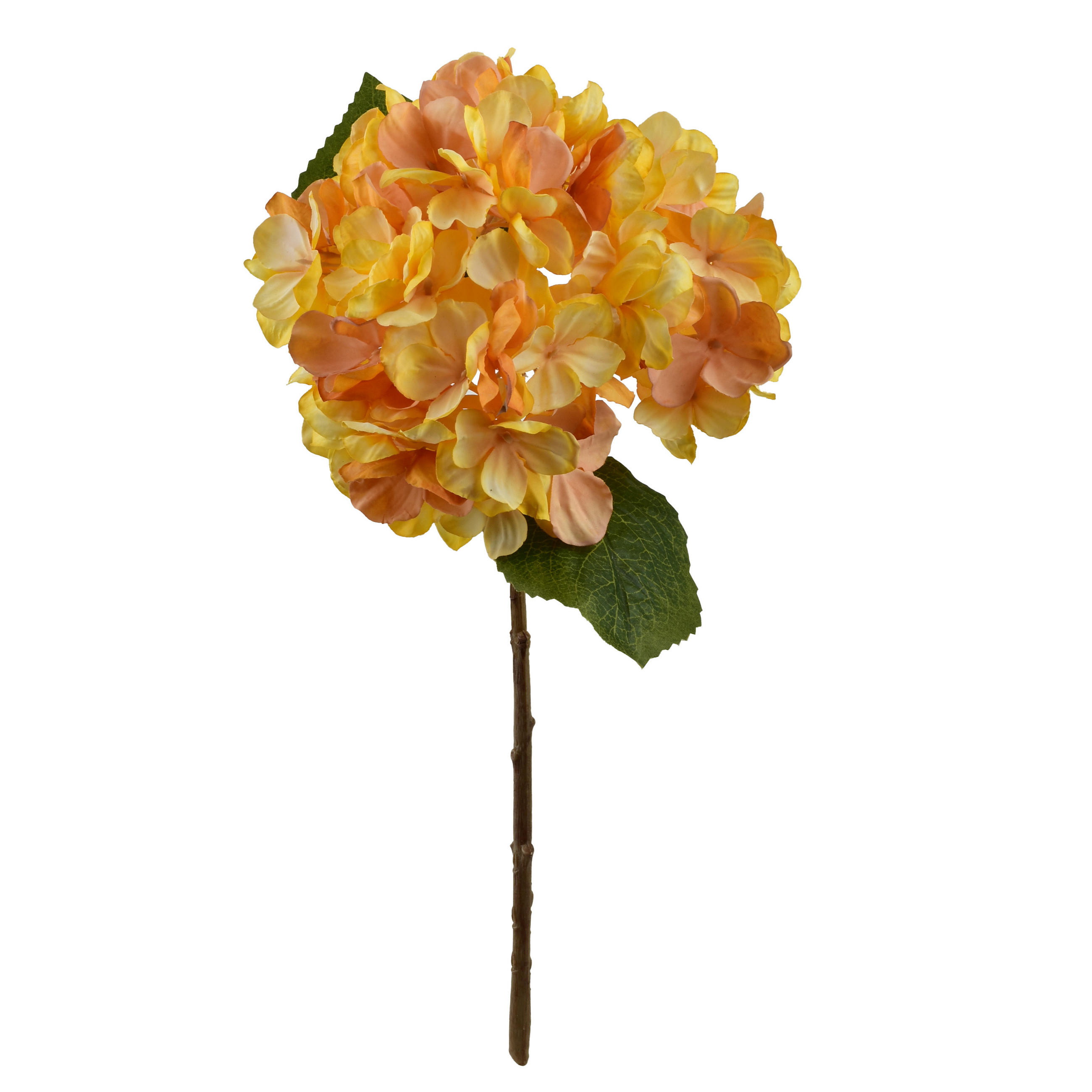 KUNSTBLUME Viridis 35cm - Grün, Kunststoff (35cm) - Mondex