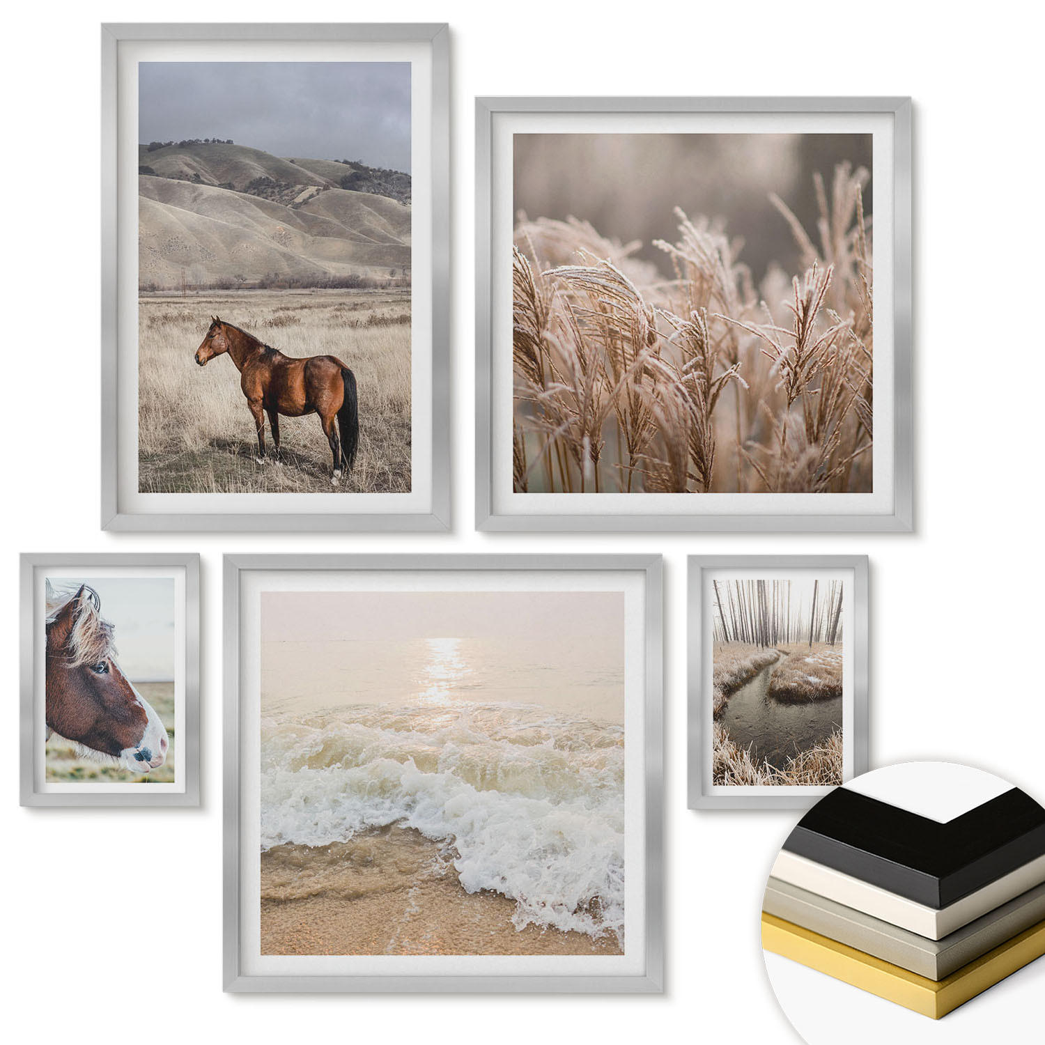 WANDBILDER 5er Set - 50x50 cm & 20x30 cm & 40x60 cm Silberner Rahmen - Pferdelandschaft Seegraswald - Silberfarben, Kunststoff (40/60cm) - ArtPrintCave