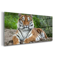 GLASBILD 120x60 cm Sibirisches Tier - Rotbraun, Glas (120/60cm) - TULUP
