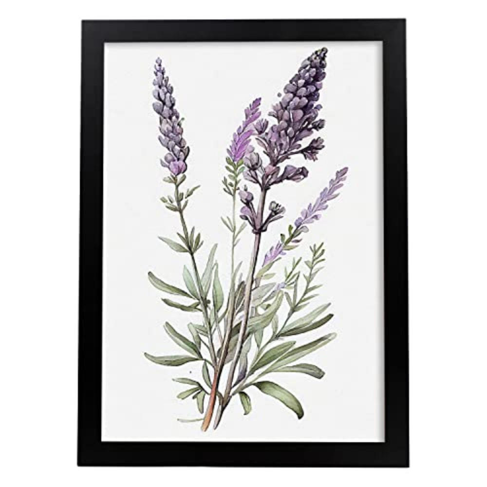 POSTER Lavendel 4 Im Nordischen Stil. A4 Rahmenlos - Klar, Papier (29.7/5/21cm) - Nacnic