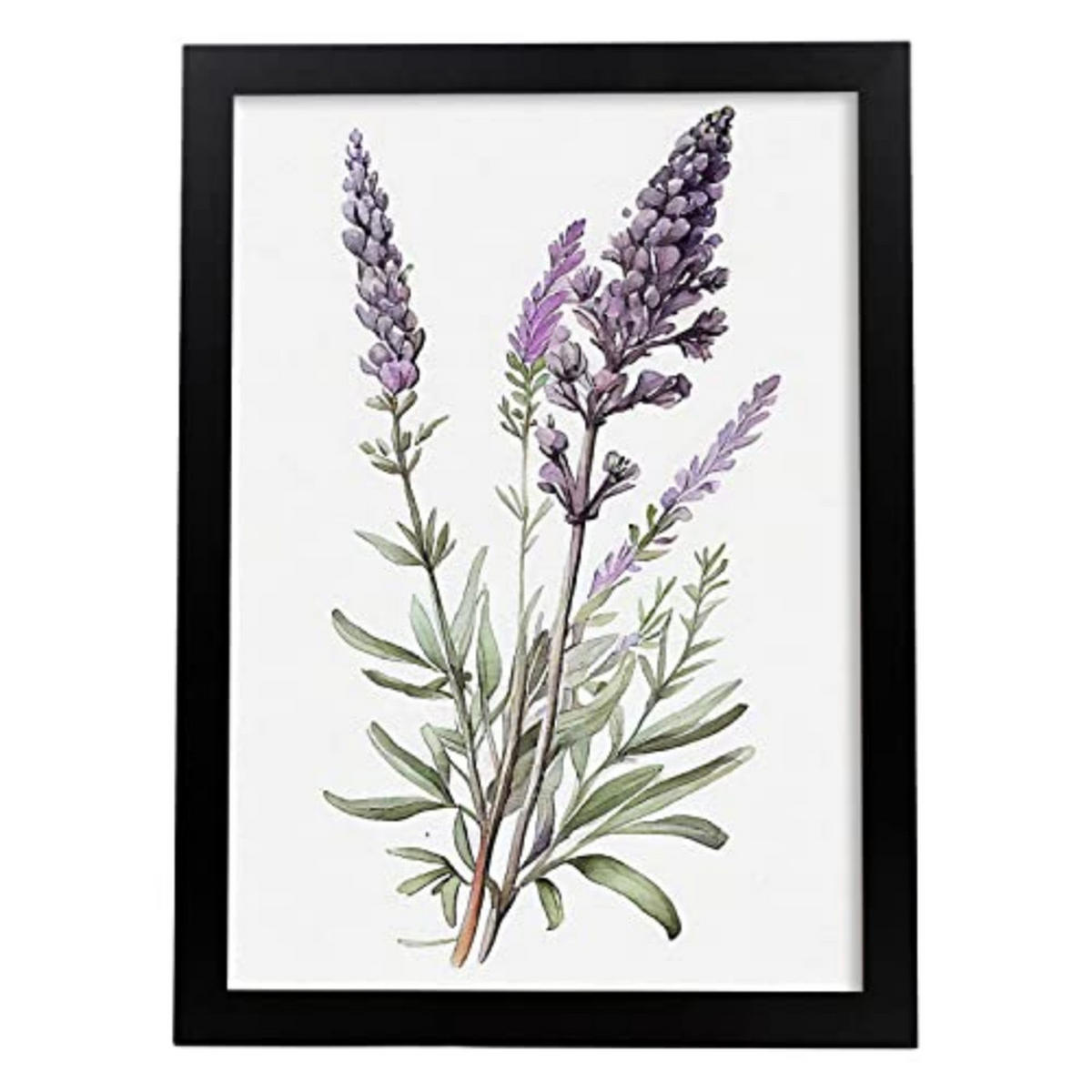 POSTER Lavendel 4 Im Nordischen Stil. A4 Rahmenlos - Klar, Papier (29.7/5/21cm) - Nacnic