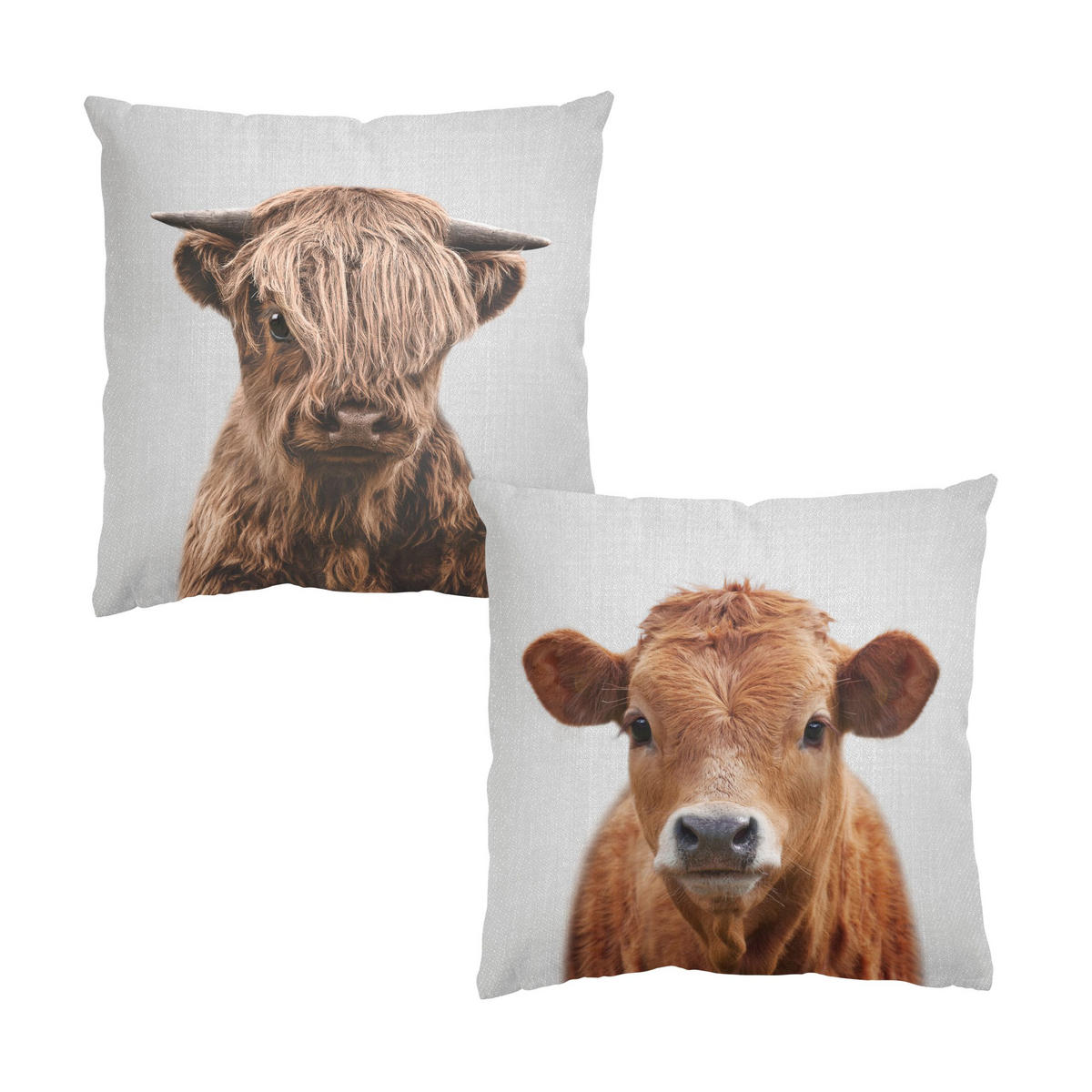 DEKOKISSEN 2er-Set Hochlandrind Kuh Duo 50/50 cm - Braun, Textil (50/50cm) - Bilderwelten