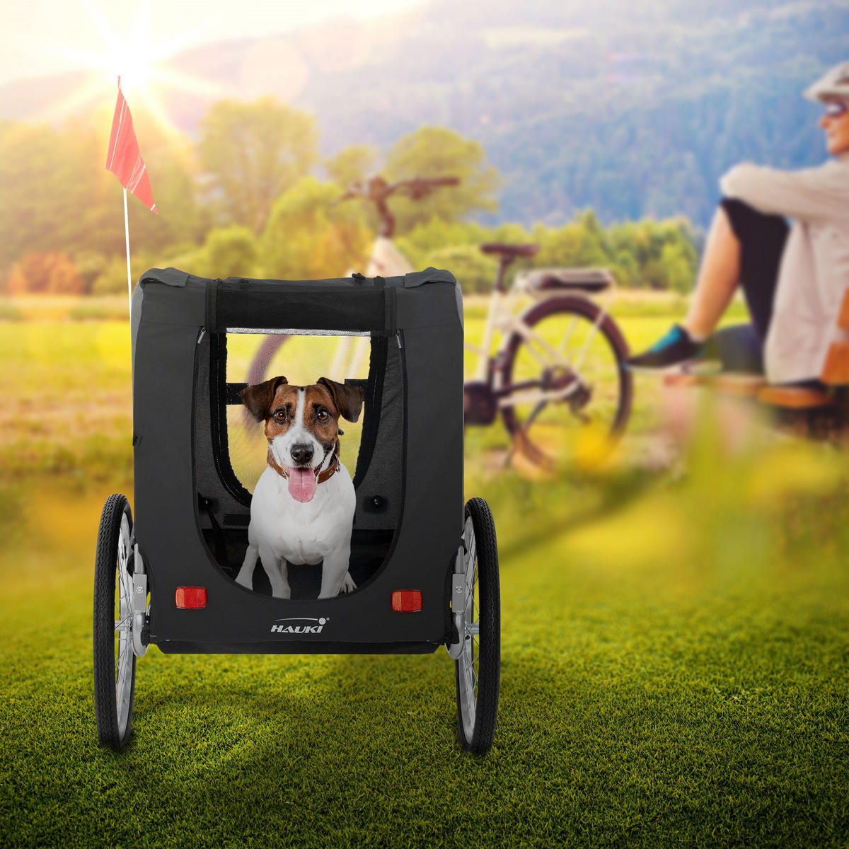 FAHRRAD-HUNDEANHÄNGER - Schwarz, Metall (72/123/130cm) - Hauki