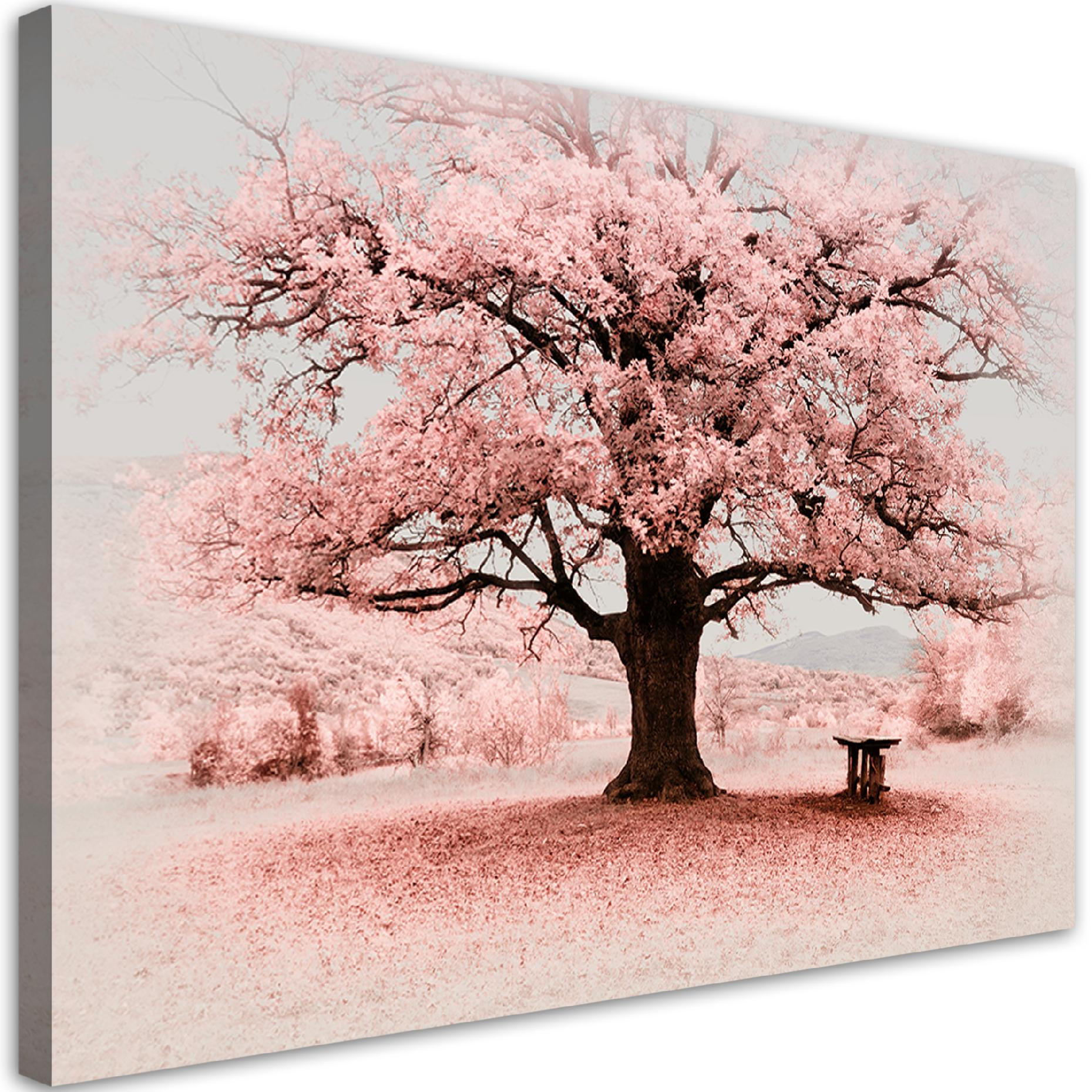 WANDBILD rosa baum abstraktion natur - Pink, Textil (60/40cm) - Feeby