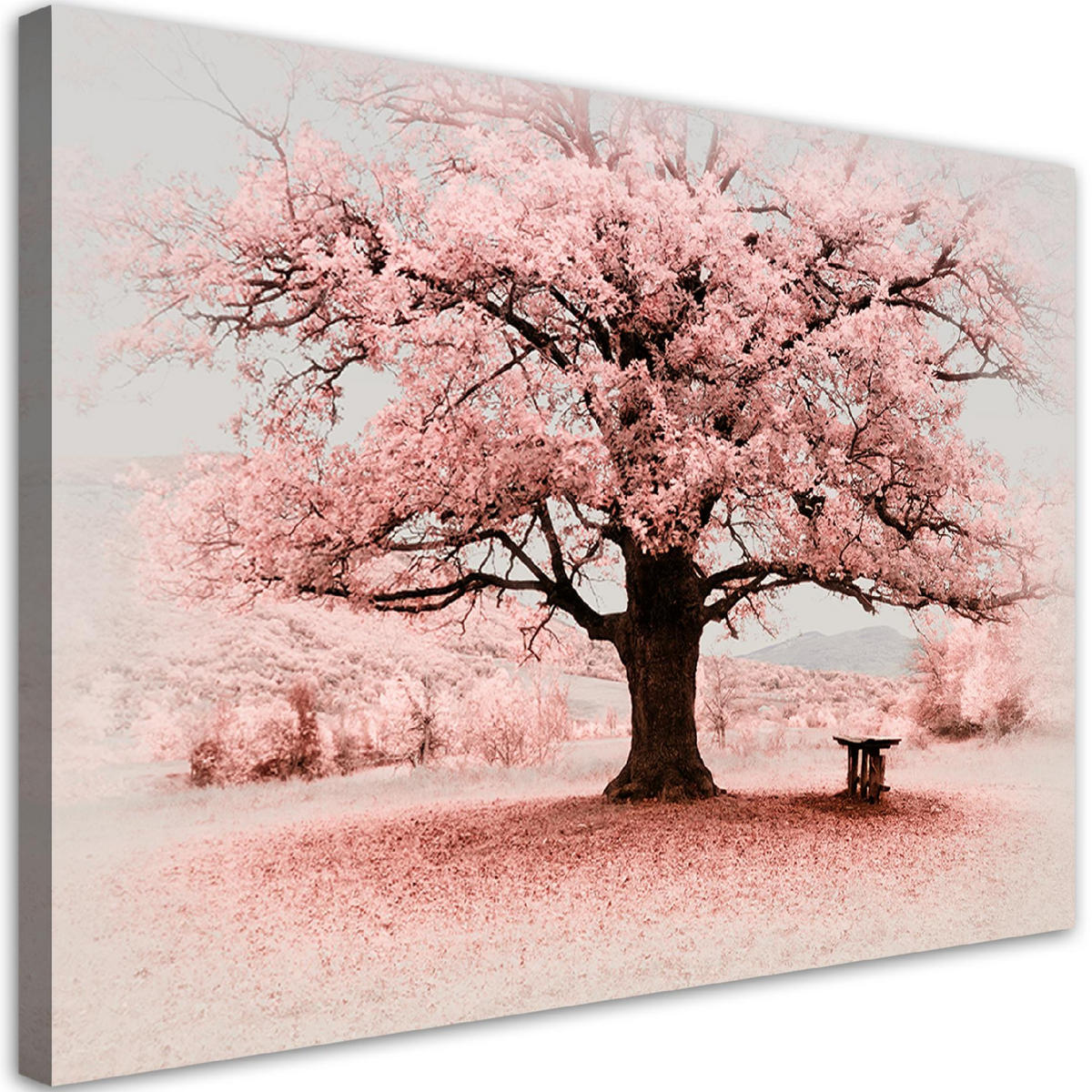 WANDBILD rosa baum abstraktion natur - Pink, Textil (60/40cm) - Feeby