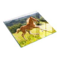 GLASPLATTE 60x52 cm Galoppierendes Fohlen - Hellgrün, Glas (60/52cm) - TULUP