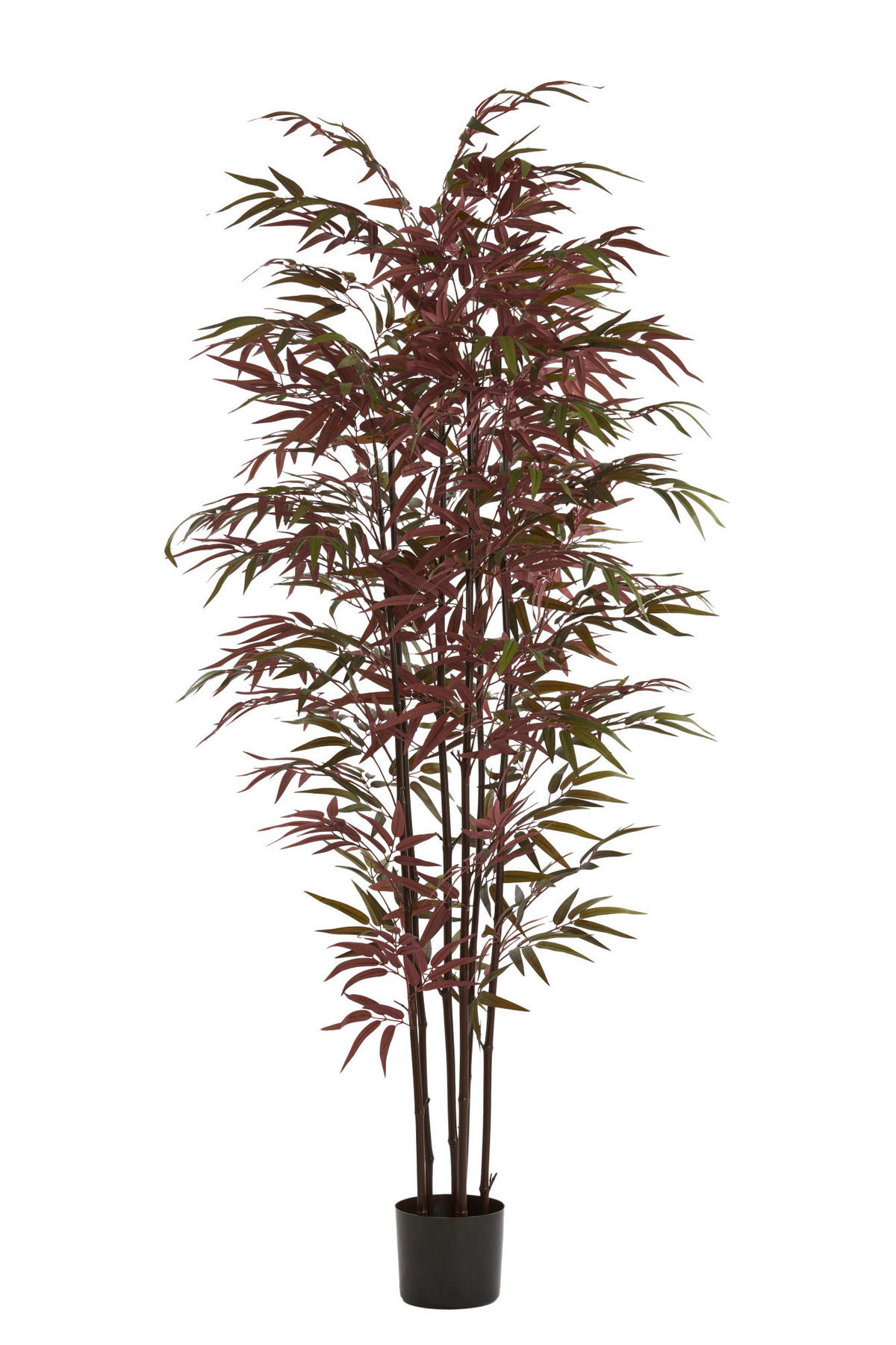 TOPF Bambus Grün 70/60/180 cm - Grün, Kunststoff (180cm) - Light & Living