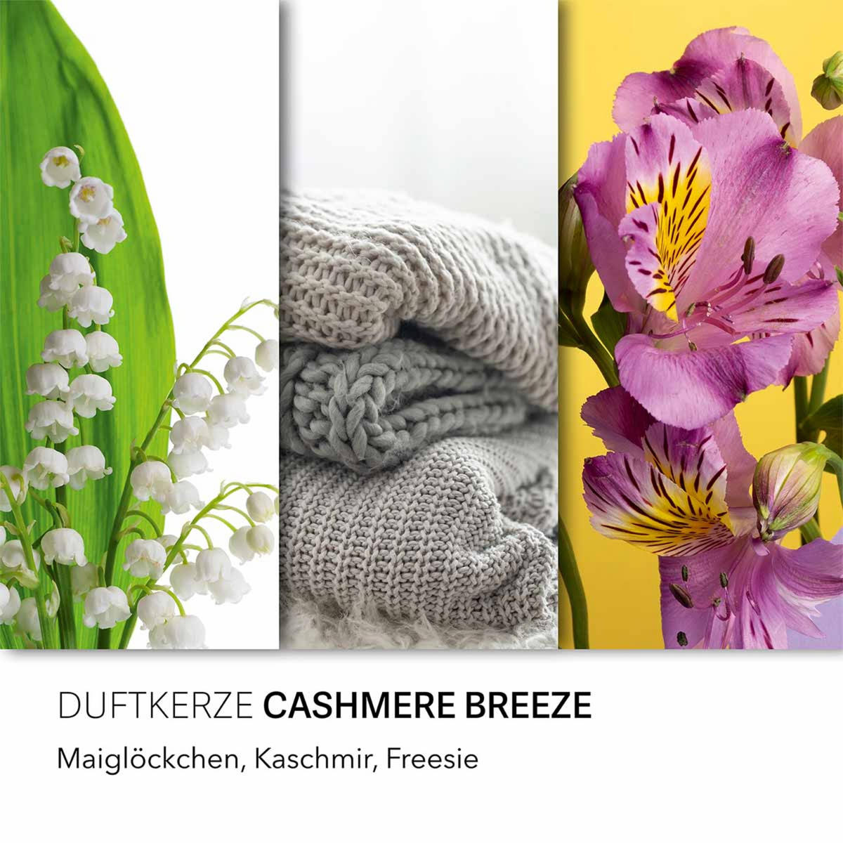 DUFTKERZE CandleBrothers - Grün, Glas/Naturmaterialen (13cm)