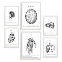 POSTER Set Mit 6 Belies Sammlung A3 & A4 Weißer Rahmen - Weiß, Papier (29/3cm) - Nacnic