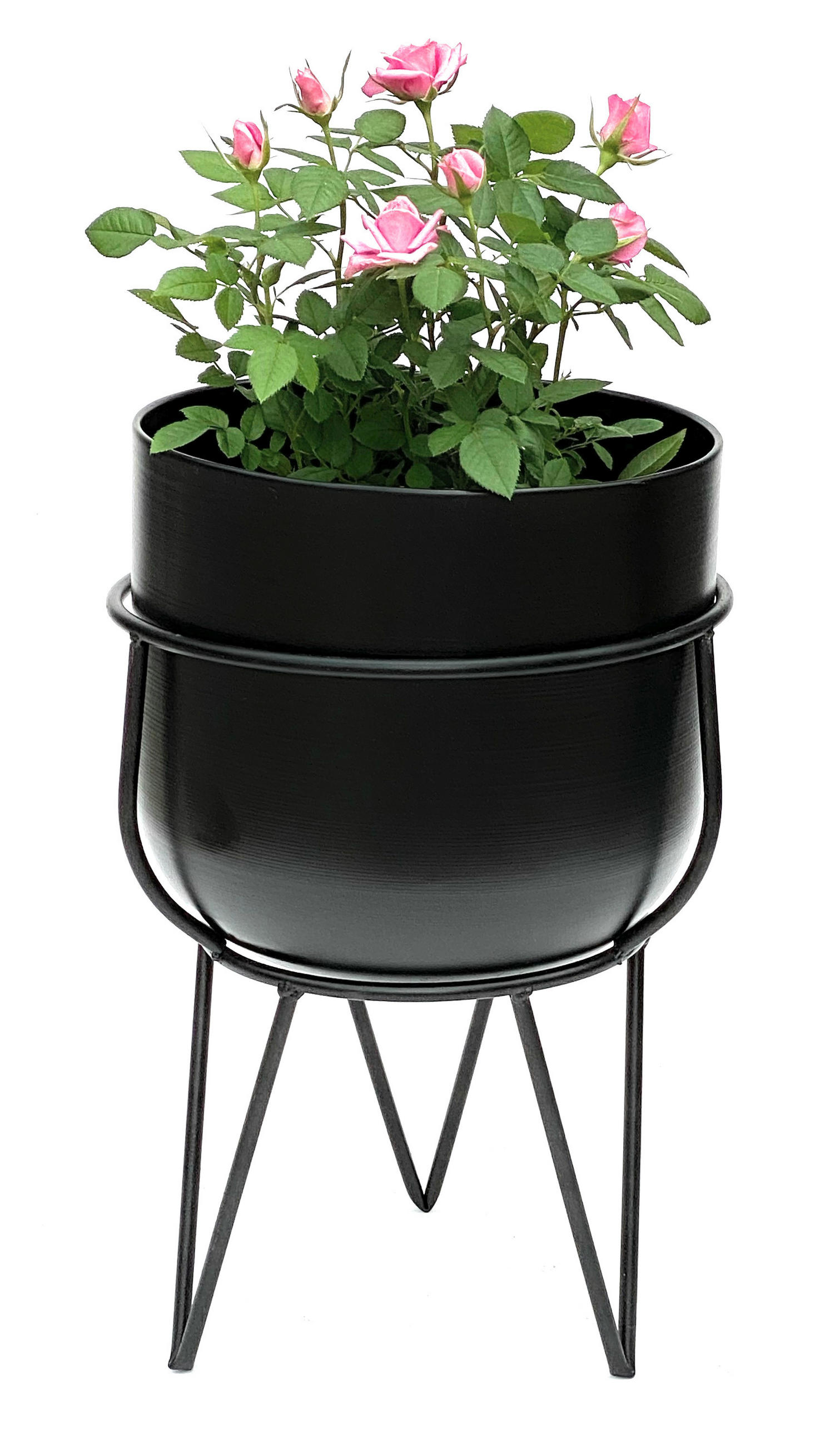 DanDiBo Blumenhocker Schwarz 22x35.5x22 cm