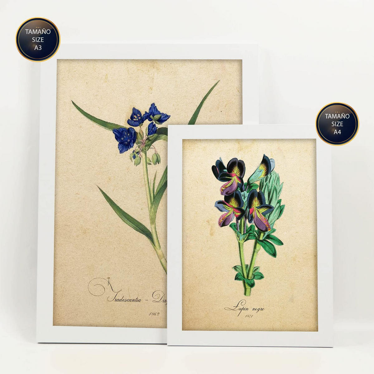 POSTER Set Mit 6 Blumen in Blau, Rot und Orange Größe A3 & A4 Weißer Rahmen - Weiß, Papier (29.7/1cm) - Nacnic