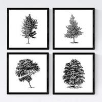 POSTER Set mit 4 Blättern der Bäume struktur 20x20cm Rahmenlos - Klar, Papier (20/3cm) - Nacnic