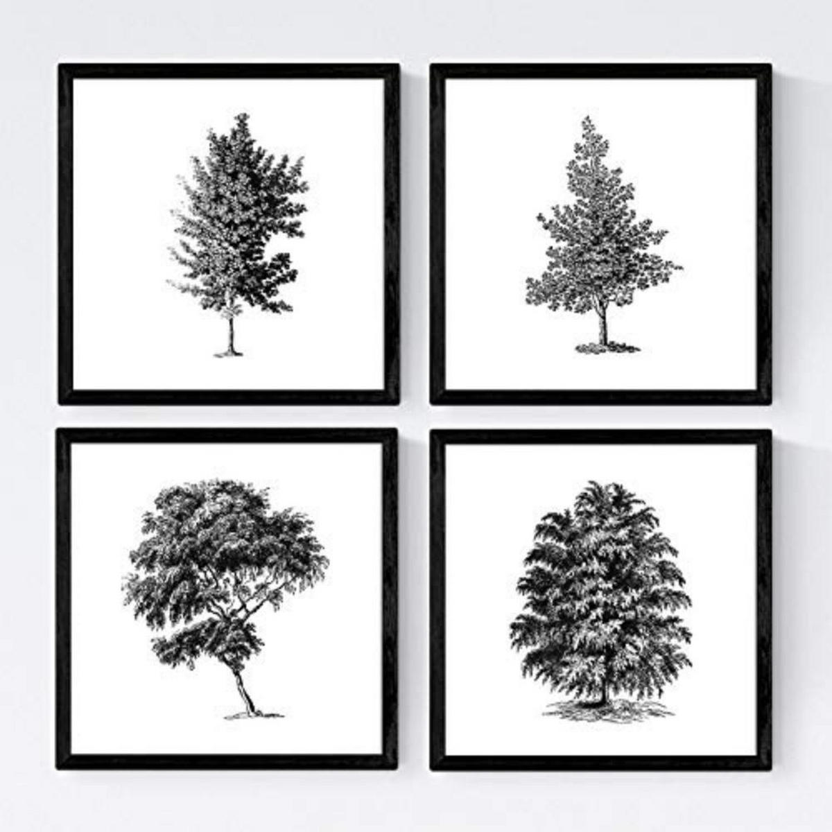 POSTER Set mit 4 Blättern der Bäume struktur 20x20cm Rahmenlos - Klar, Papier (20/3cm) - Nacnic