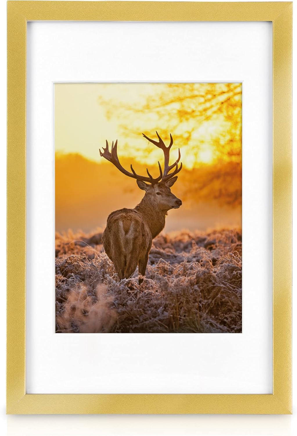 BILDERRAHMEN Passion Holz Gold 18tlg - Goldfarben, Holz (25/28/37cm) - BoMoe