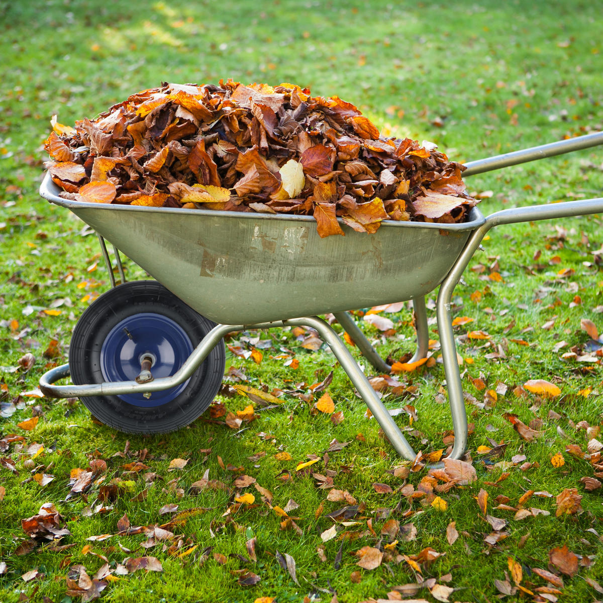 SCHUBKARRENRAD - Multicolor, Kunststoff/Metall (39/9/39cm) - Relaxdays