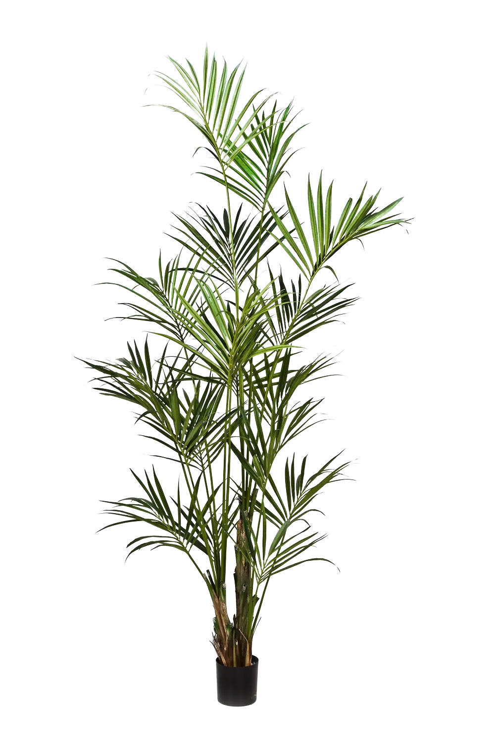KUNSTBAUM Künstliche Kentia Palme - Cataleya 260 cm - Grün, Kunststoff (260cm) - aplanta