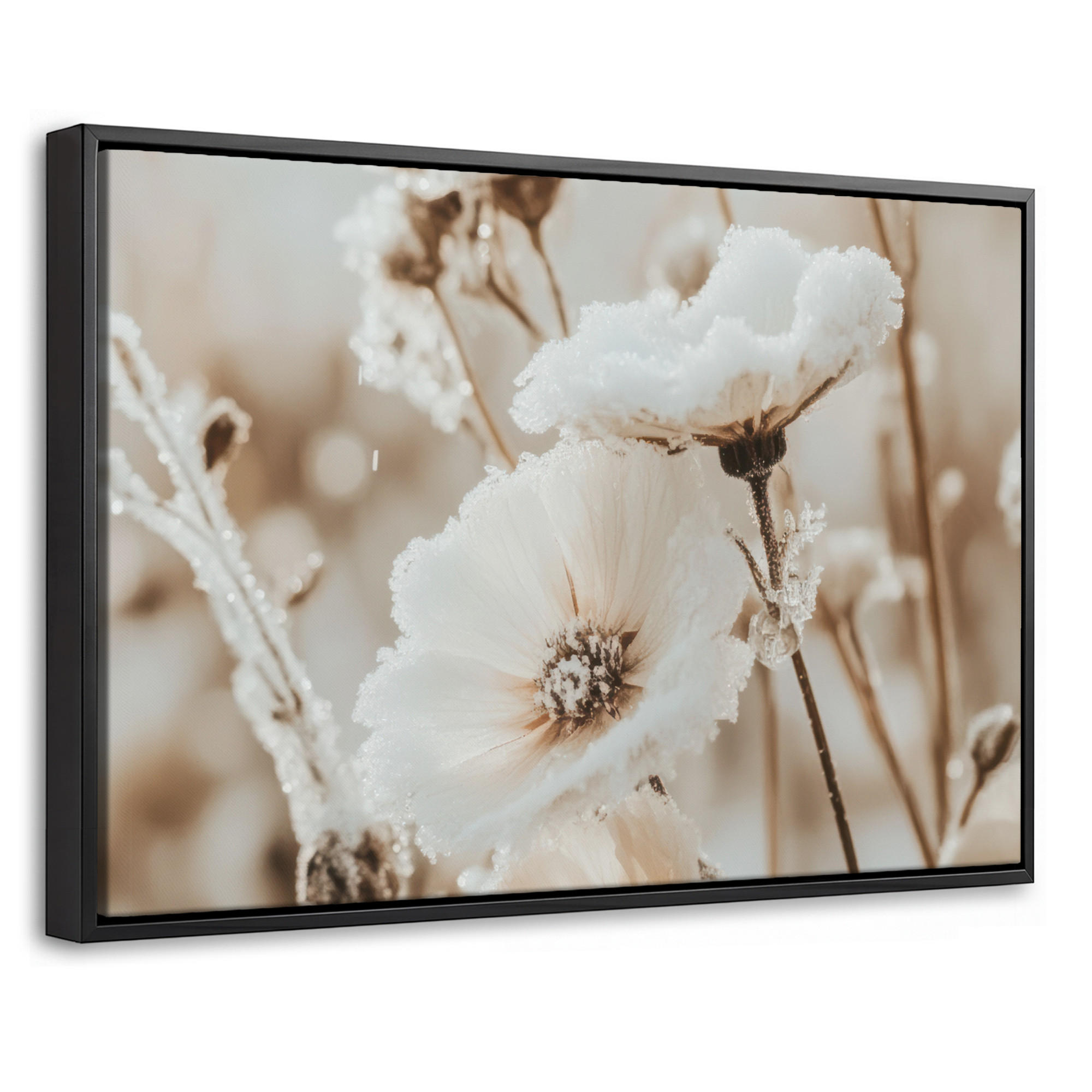 MuchoWow Leinwand Creme 60x40 cm
