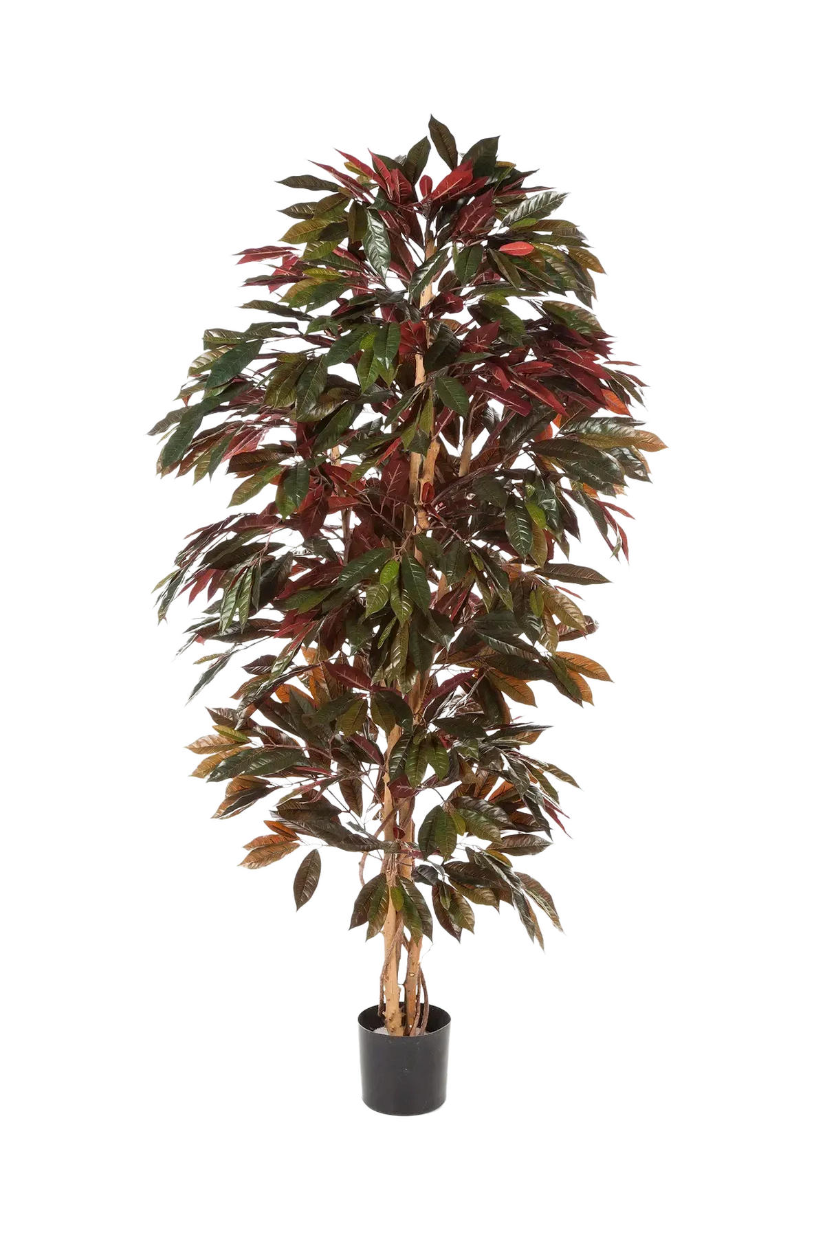KÜNSTLICHER Capensia-Baum - Oliver 210 cm - Multicolor, Kunststoff (210cm) - aplanta