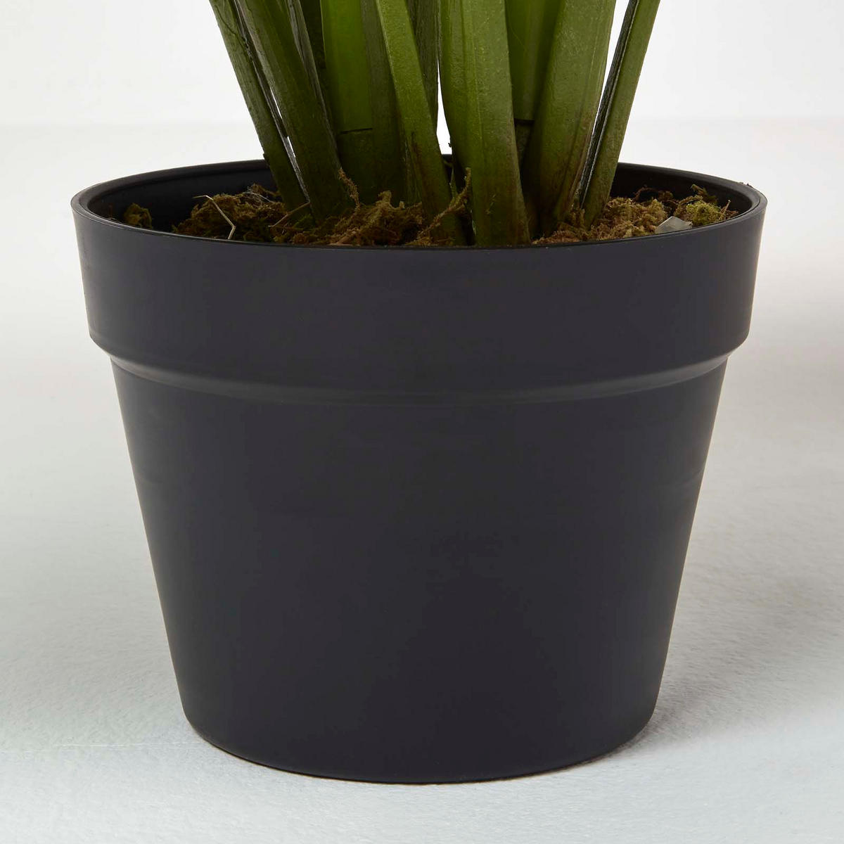 KUNSTPFLANZE Monstera, 60 cm - Grün, Kunststoff (60cm) - Homescapes