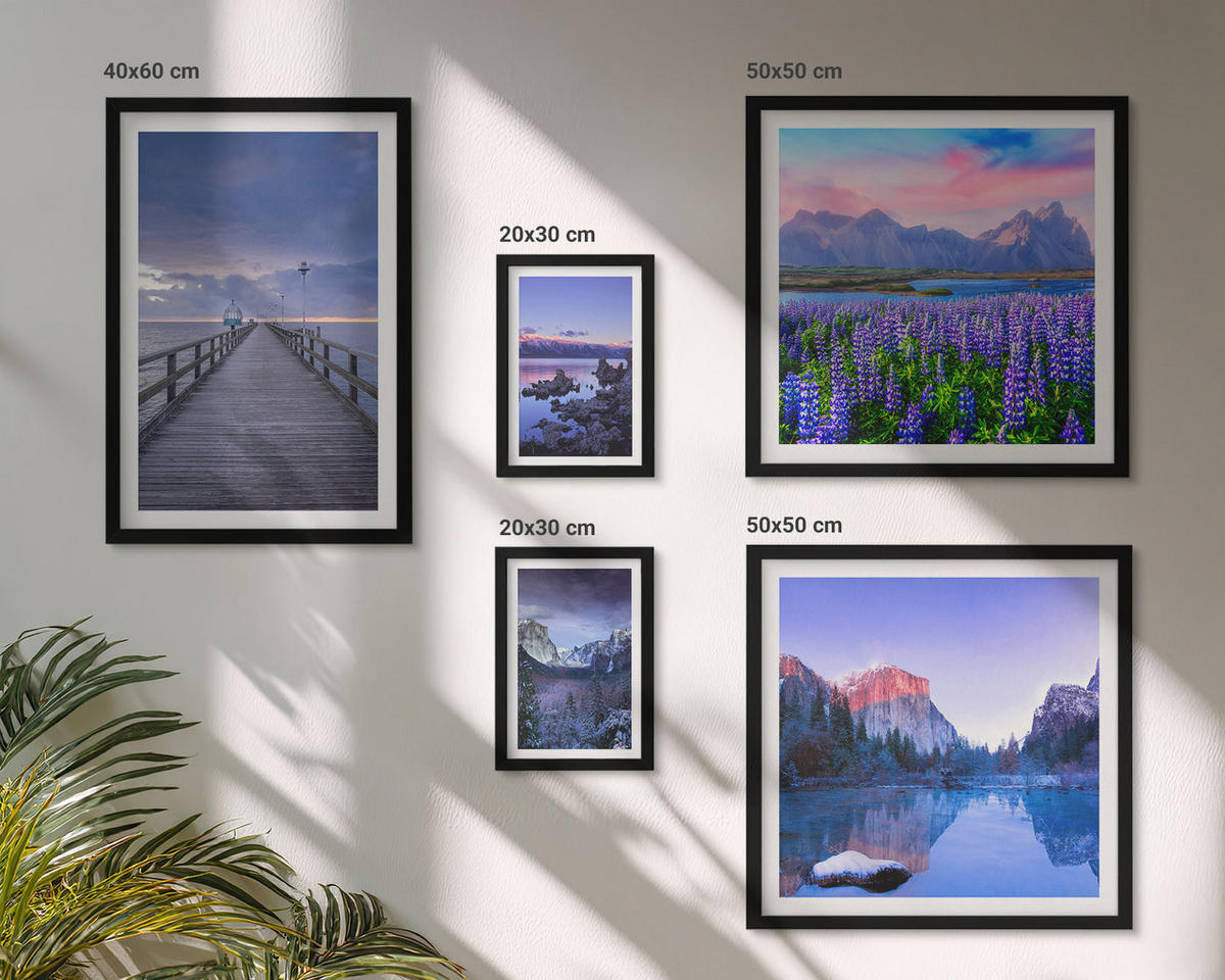 WANDBILDER 5er-Set - 50x50 cm & 20x30 cm & 40x60 cm Schwarzer Rahmen - Berglandschaften, Wasser, Blumenfeld - Schwarz, Kunststoff (40/60cm) - ArtPrintCave