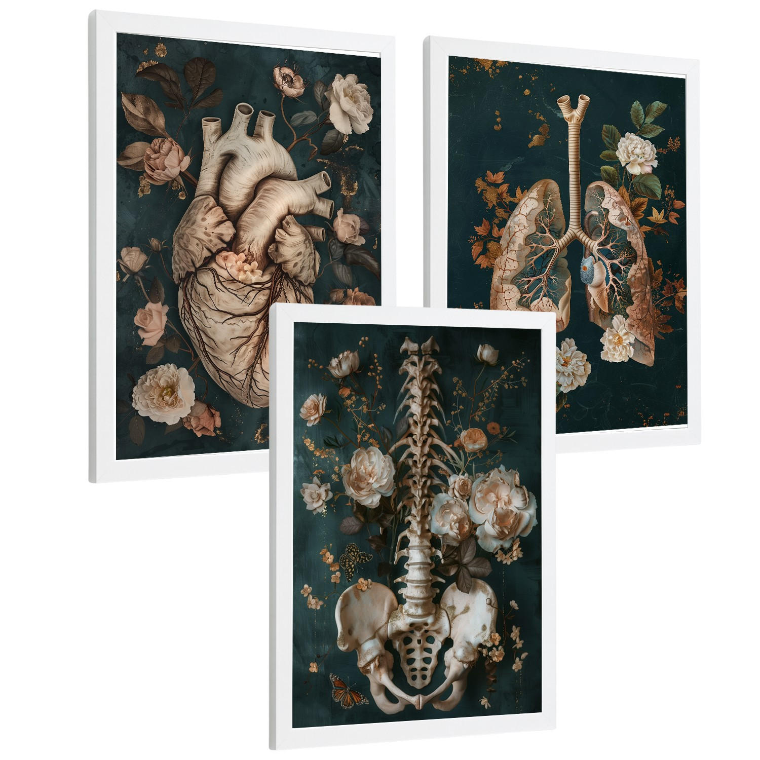 POSTER Set aus 3 Anatomie Mensch Drucke und Wandbilder mit Herz Atmungssystem und Skelett Botanischer Stil Wanddekoration Größe Weißer Rahmen A4 - Weiß, Papier (21/29.7/3cm) - Nacnic