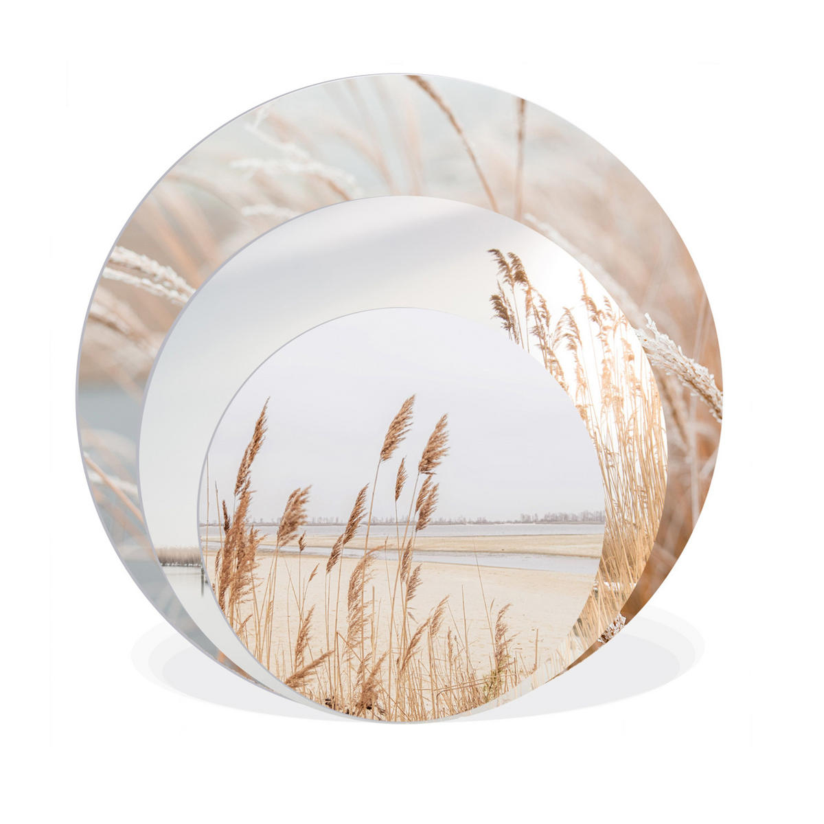 BILDERSET 3er-Set rund 55/40/25 cm Gräser - Gelb, Kunststoff (55/55cm) - artissimo