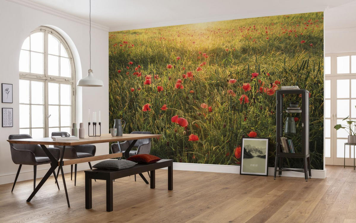 FOTOTAPETE Mohnblumen 450 x 280 cm - Grün, Papier (450/280cm) - Sanders & Sanders