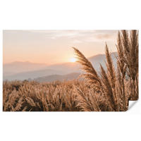 TAPETE - Gras - Feld - Sonne - Natur - 450x280 cm - Sandfarben, Papier (450/280cm) - OnlyWow