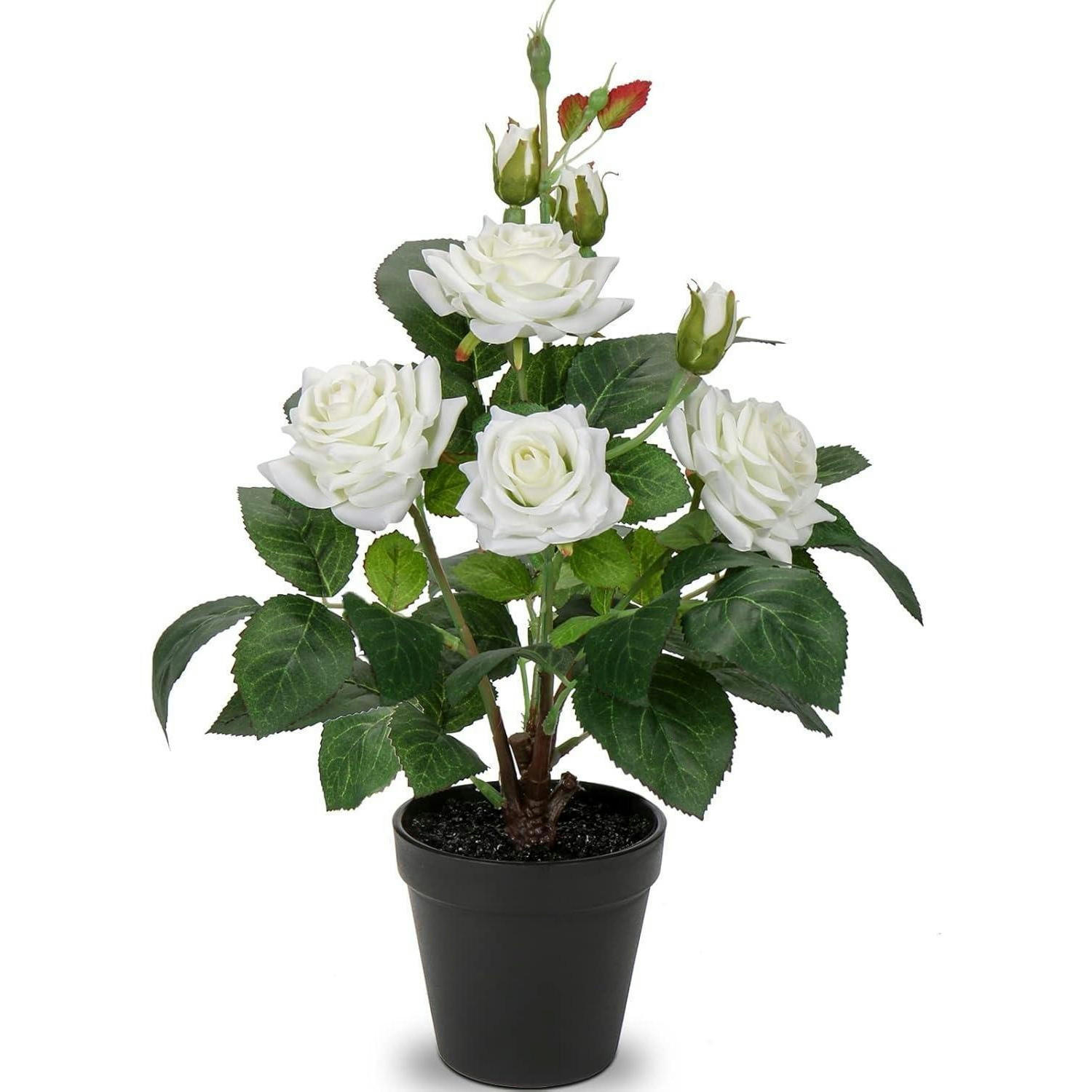 KUNSTROSEN im Topf 34 cm Weiß - Weiß, Kunststoff (33cm)