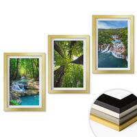 WANDBILDER 3er Set - 20x30 cm Goldrahmen - Wasserfälle grüner Wald Wasser - Goldfarben, Kunststoff (20/30cm) - ArtPrintCave