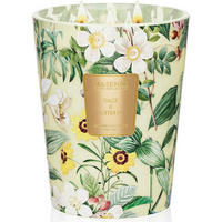 DUFTKERZE im Glas Salbei & Zitrus 3 Dochte 990g - Multicolor, Paraffin (15.8cm)