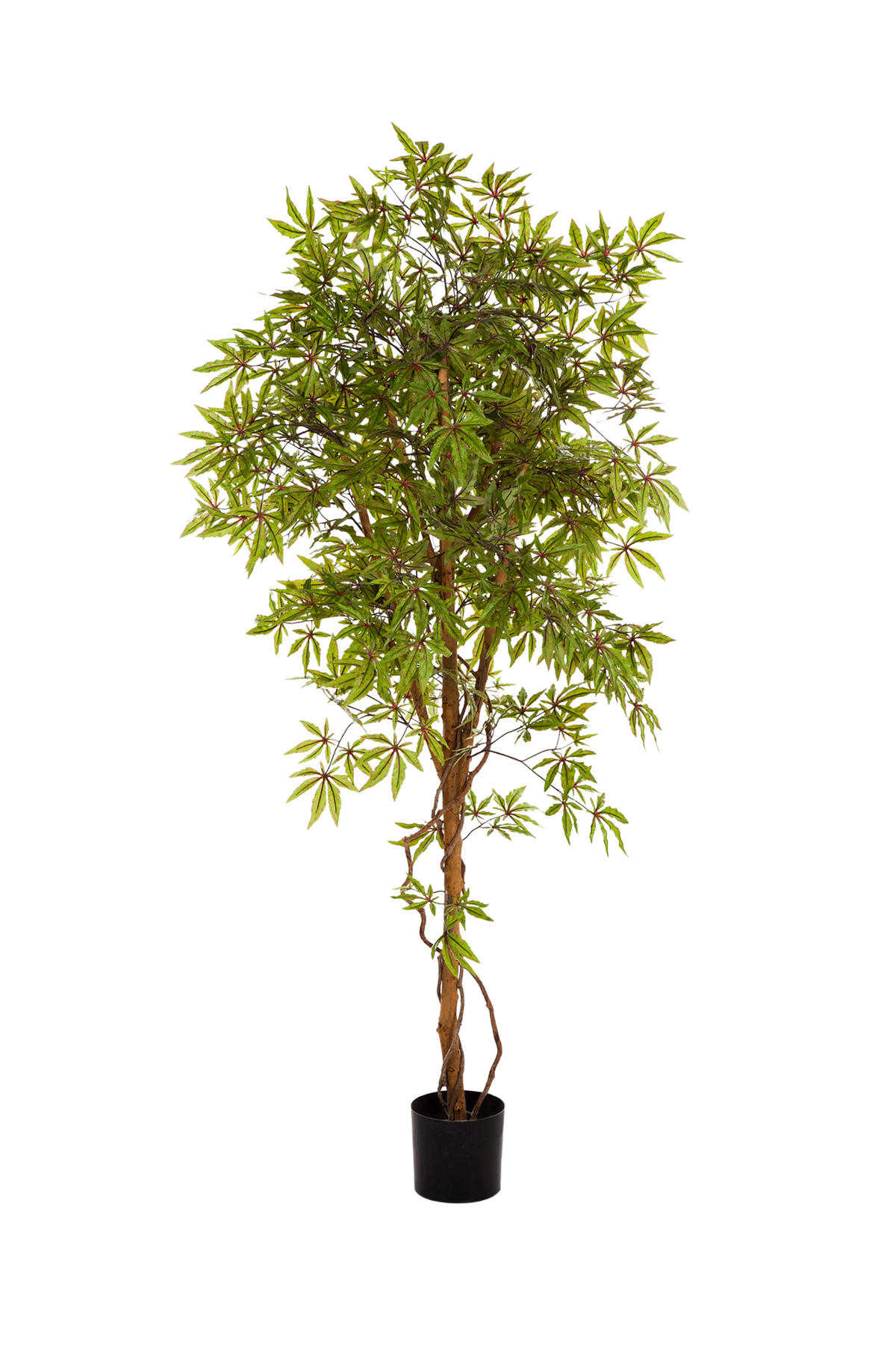 JAPANISCHE AHORNE Künstlicher Japanischer Ahorn - Oona 210 cm - Multicolor, Kunststoff (210cm) - aplanta