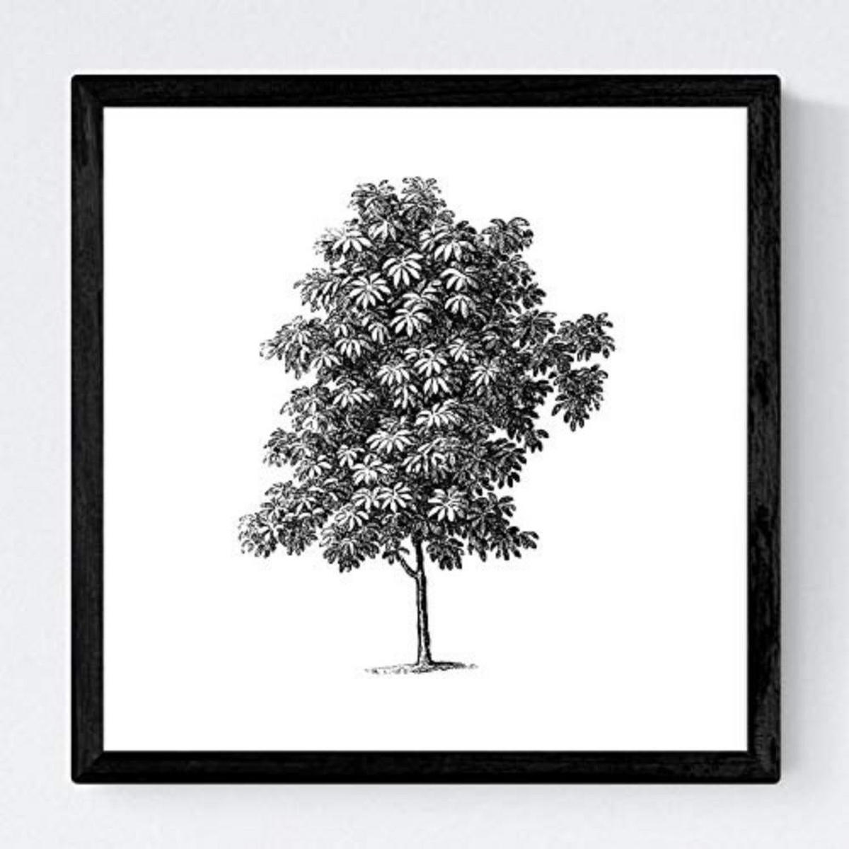 POSTER Set mit 4 Blättern der Baumzweige, weiß 20x20cm Schwarzer Rahmen - Schwarz, Papier (20/3cm) - Nacnic