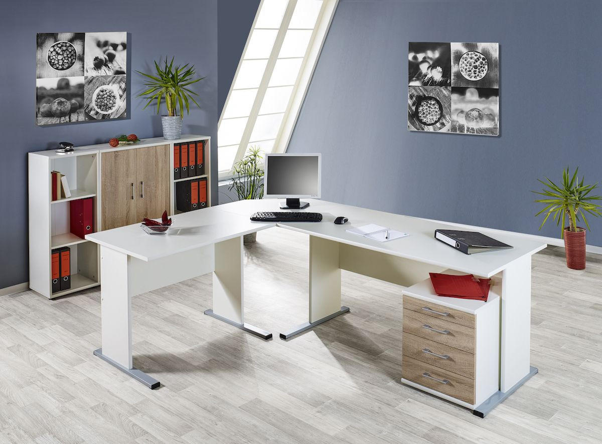 AKTENSCHRANK Tiger Slim 110x40x34 cm 3 Fächern & 1 Flügeltür Weiß - Weiß, Holz (40/110/34cm) - PROREGAL