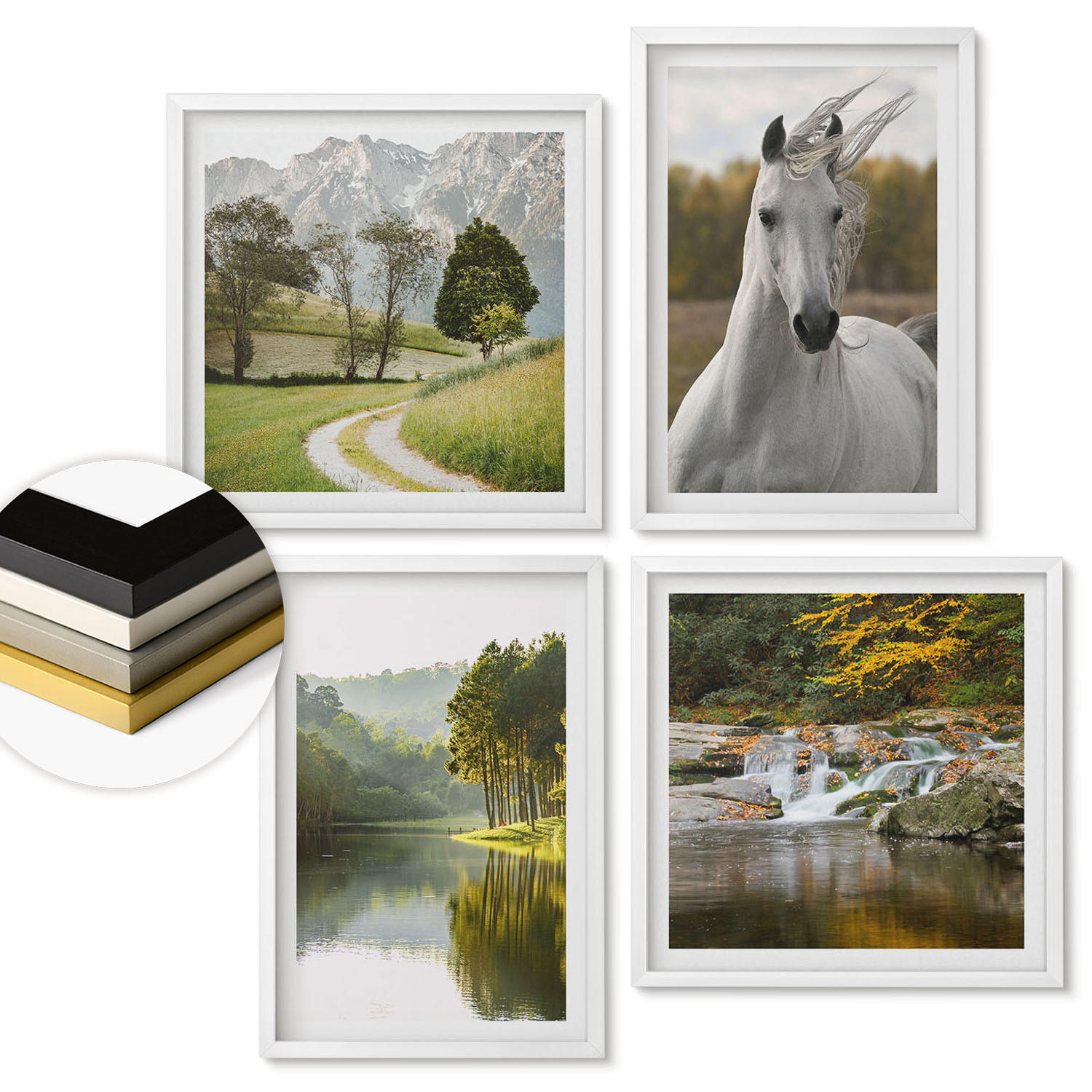 ArtPrintCave Wandbilder Weiß 50x50 cm