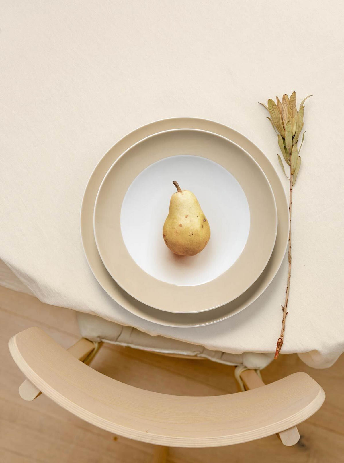 SPEISETELLER Liberty Pure Colors Dusty Beige ø 27 cm 6er Set - Beige, Keramik (27.3cm) - Seltmann Weiden