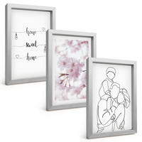 BILDER SET 3er Set - 20x30 cm Silberner Rahmen - Blumenfamilie minimalistisch - Silberfarben, Kunststoff (20/30cm) - TULUP