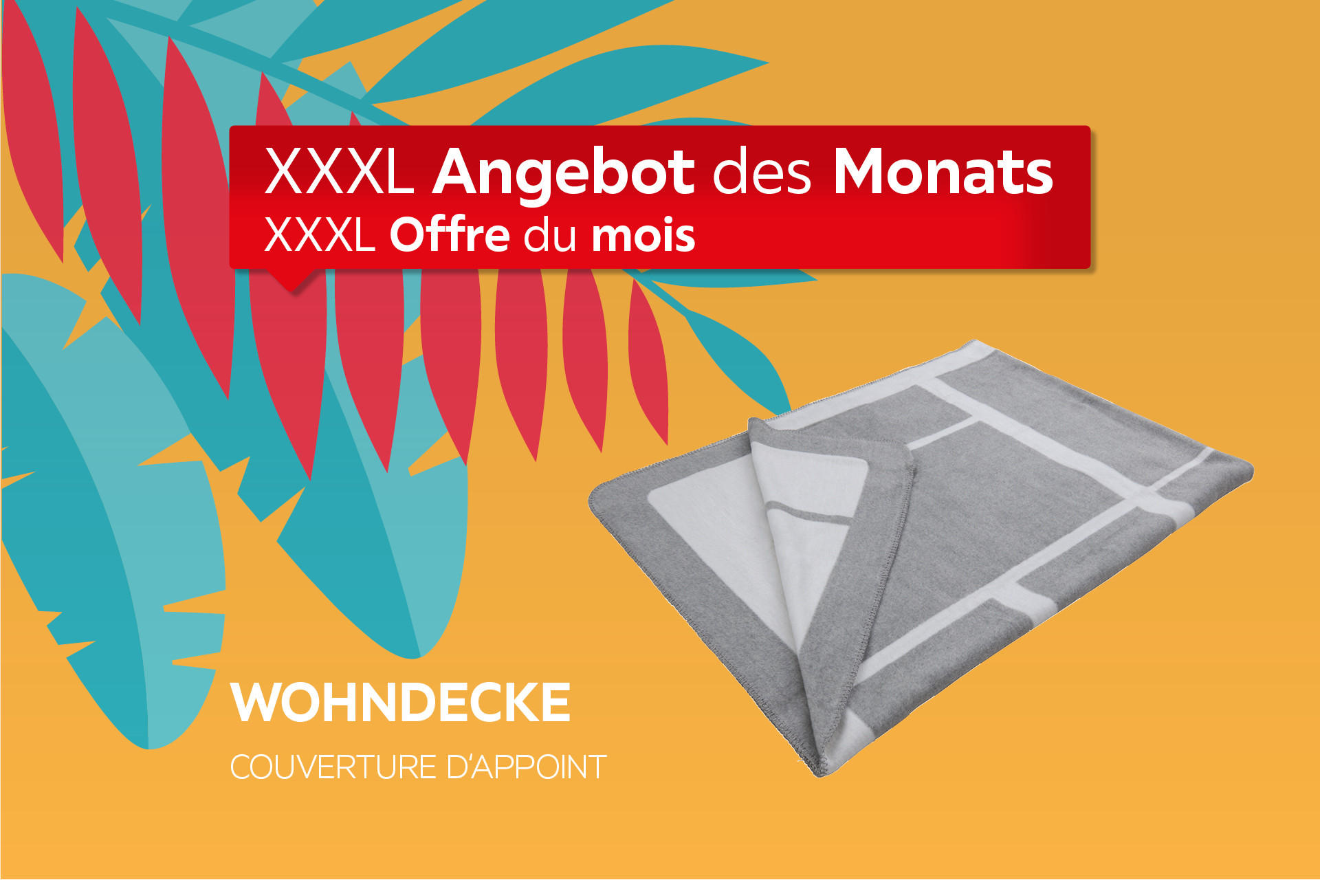 XXXL Angebot des Monats: Wohndecke